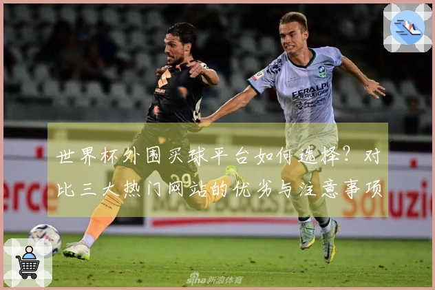 世界杯外围买球平台如何选择？对比三大热门网站的优劣与注意事项