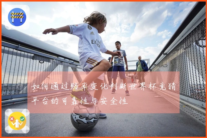 如何通过赔率变化判断世界杯竞猜平台的可靠性与安全性