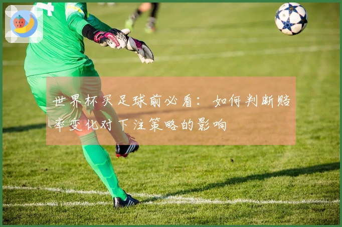 多多28体育资讯文章图