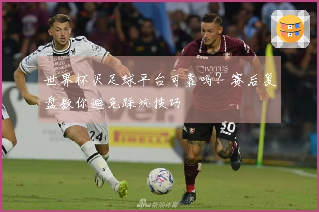 多多28体育资讯文章图