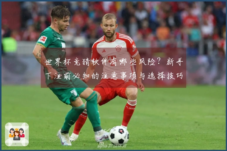 多多28体育资讯文章图